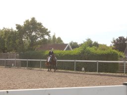 img_7367_web